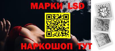 a pvp Новодвинск