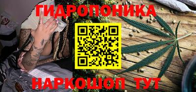 a pvp Новодвинск