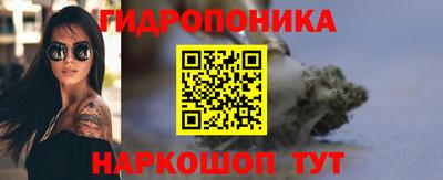 a pvp Новодвинск