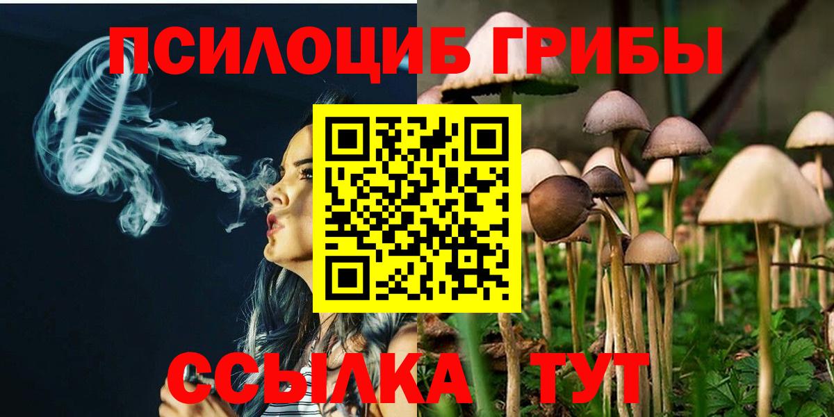 Ртищево  Галлюциногенные грибы мухоморы  Вход с VPN 