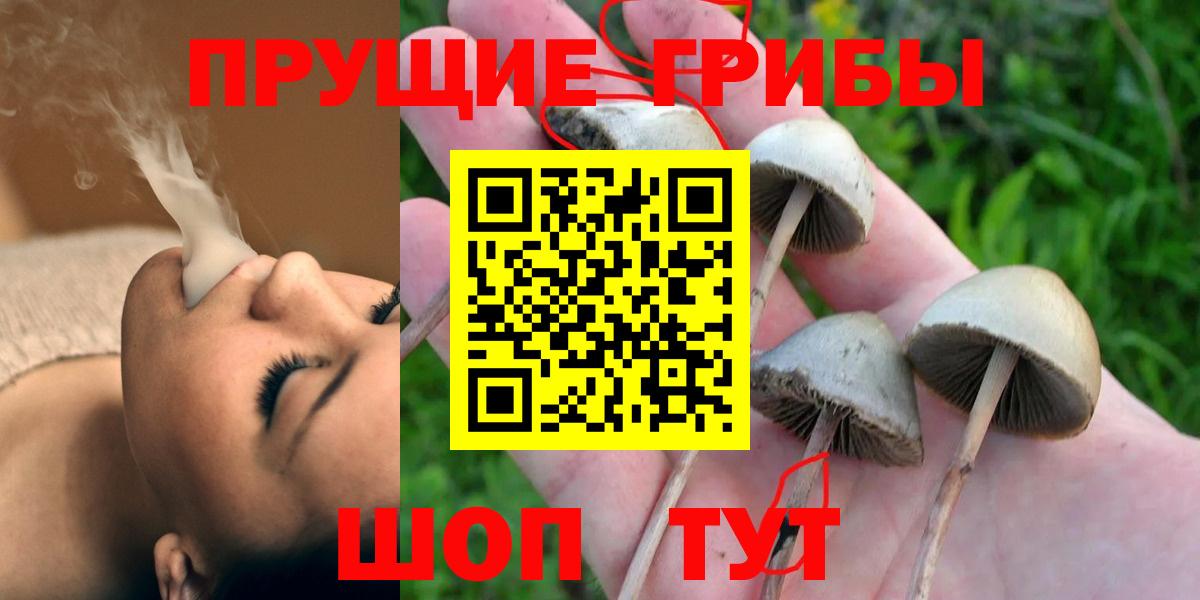 Псилоцибиновые грибы мухоморы Ртищево
